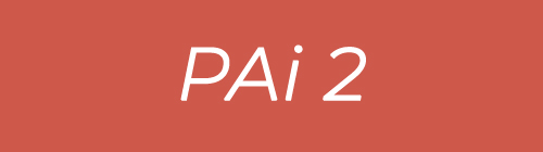 02 – Programa de Acompañamiento Inicial 2